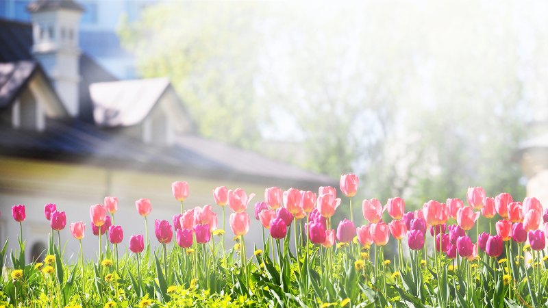 How Spring Inventory Trends Affect Pricing for Buyers and Sellers | RedKey Realty Leaders